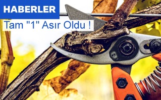 Tam 100 Yıl !